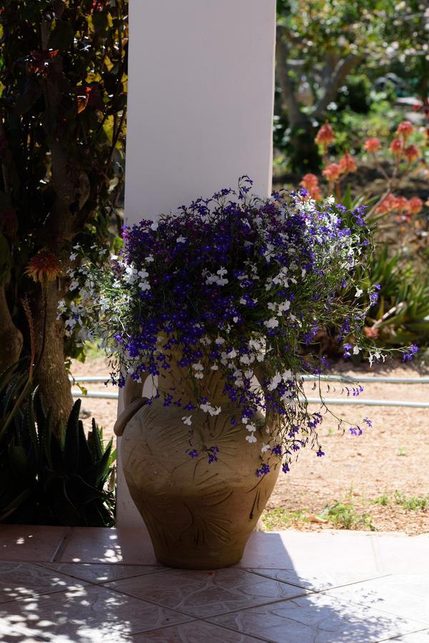 Uliveto House Bed & Breakfast Castellammare del Golfo Luaran gambar