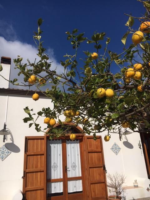 Uliveto House Bed & Breakfast Castellammare del Golfo Luaran gambar