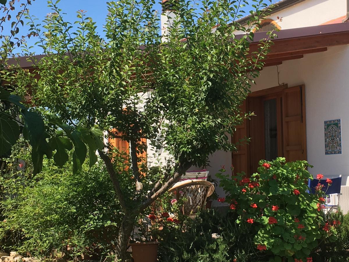 Uliveto House Bed & Breakfast Castellammare del Golfo Luaran gambar